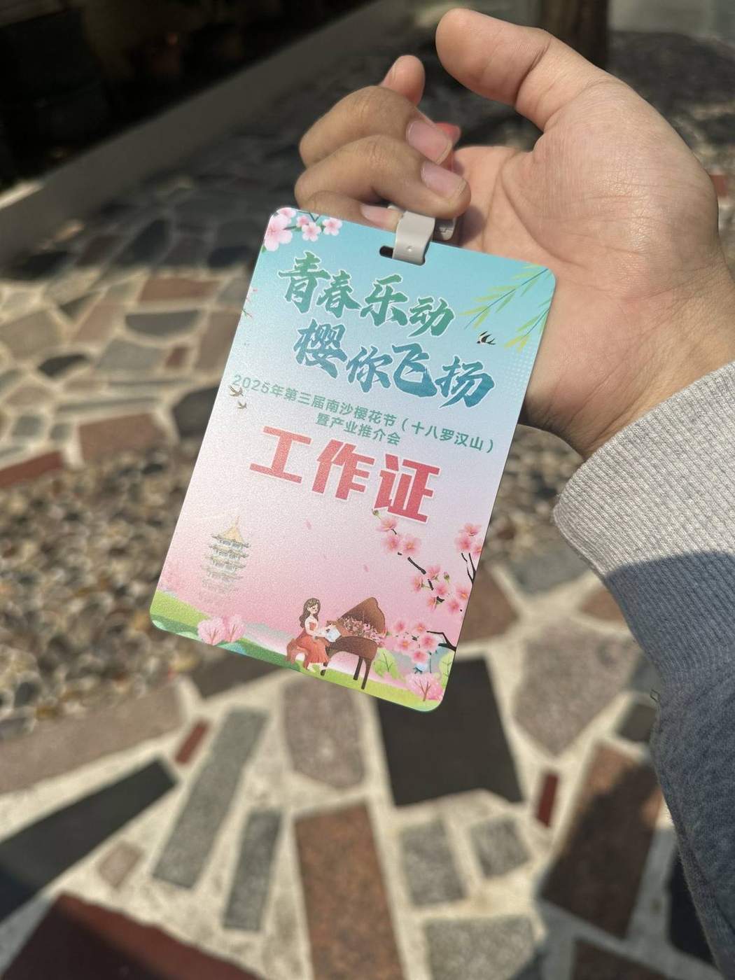 2025 年大岗镇
樱花节拍摄项目现场